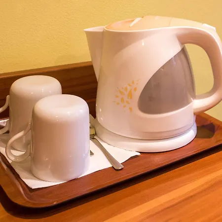 Ingrid Guest house 3*